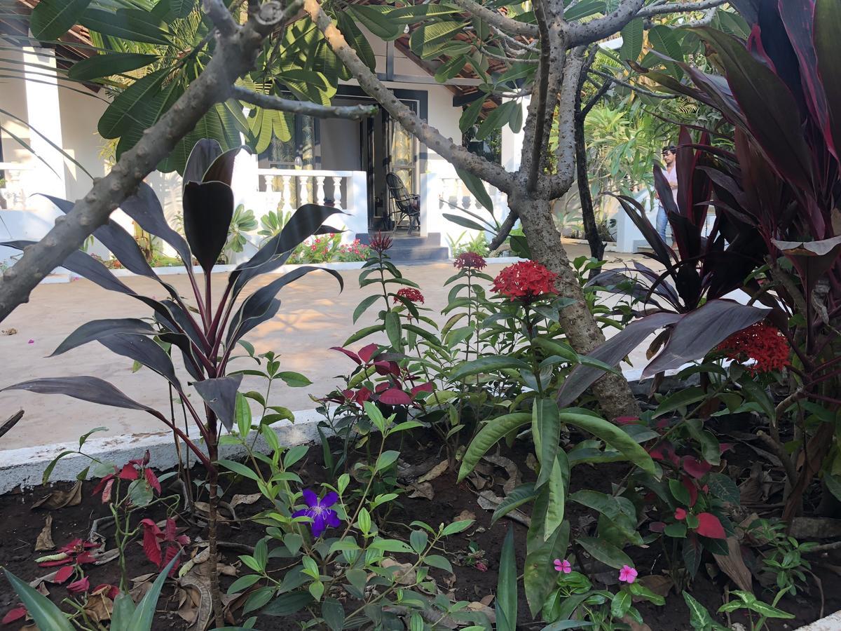 God'S Gift Morjim Hotel Ngoại thất bức ảnh
